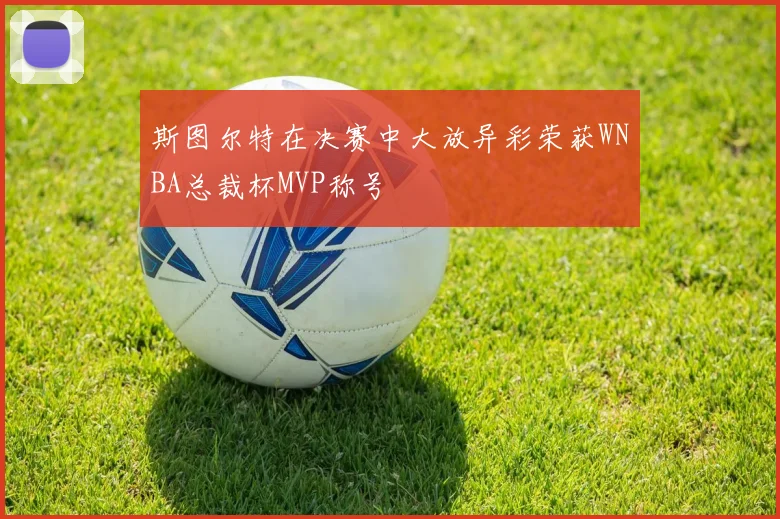 斯图尔特在决赛中大放异彩荣获WNBA总裁杯MVP称号